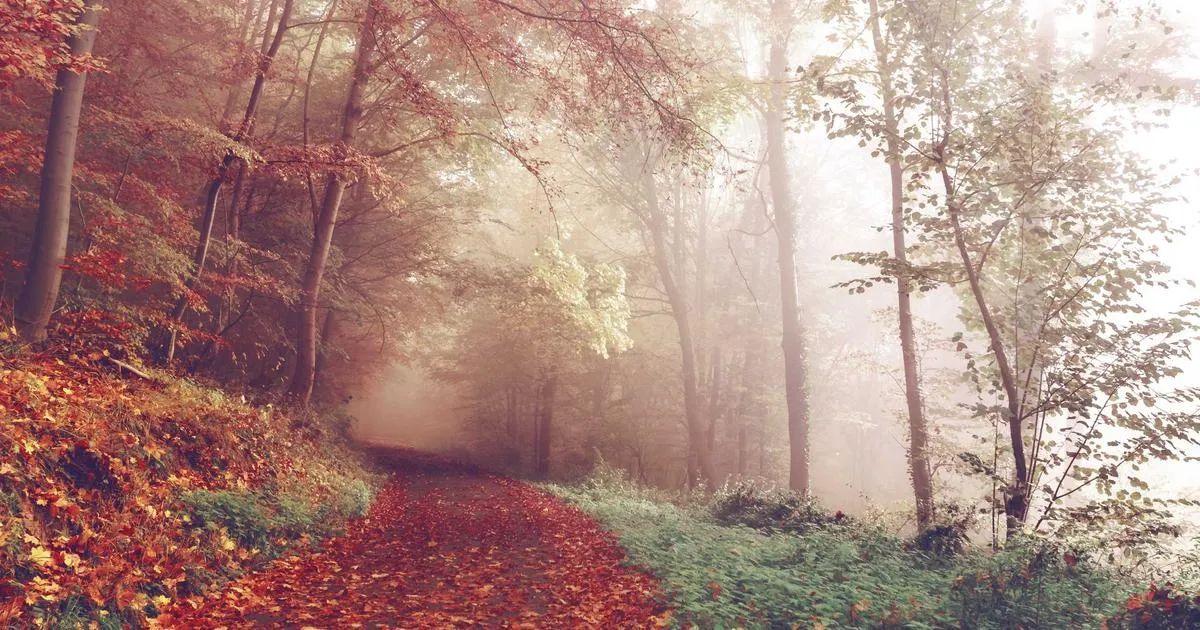 Hugo小脚本：自动完善slug及image属性